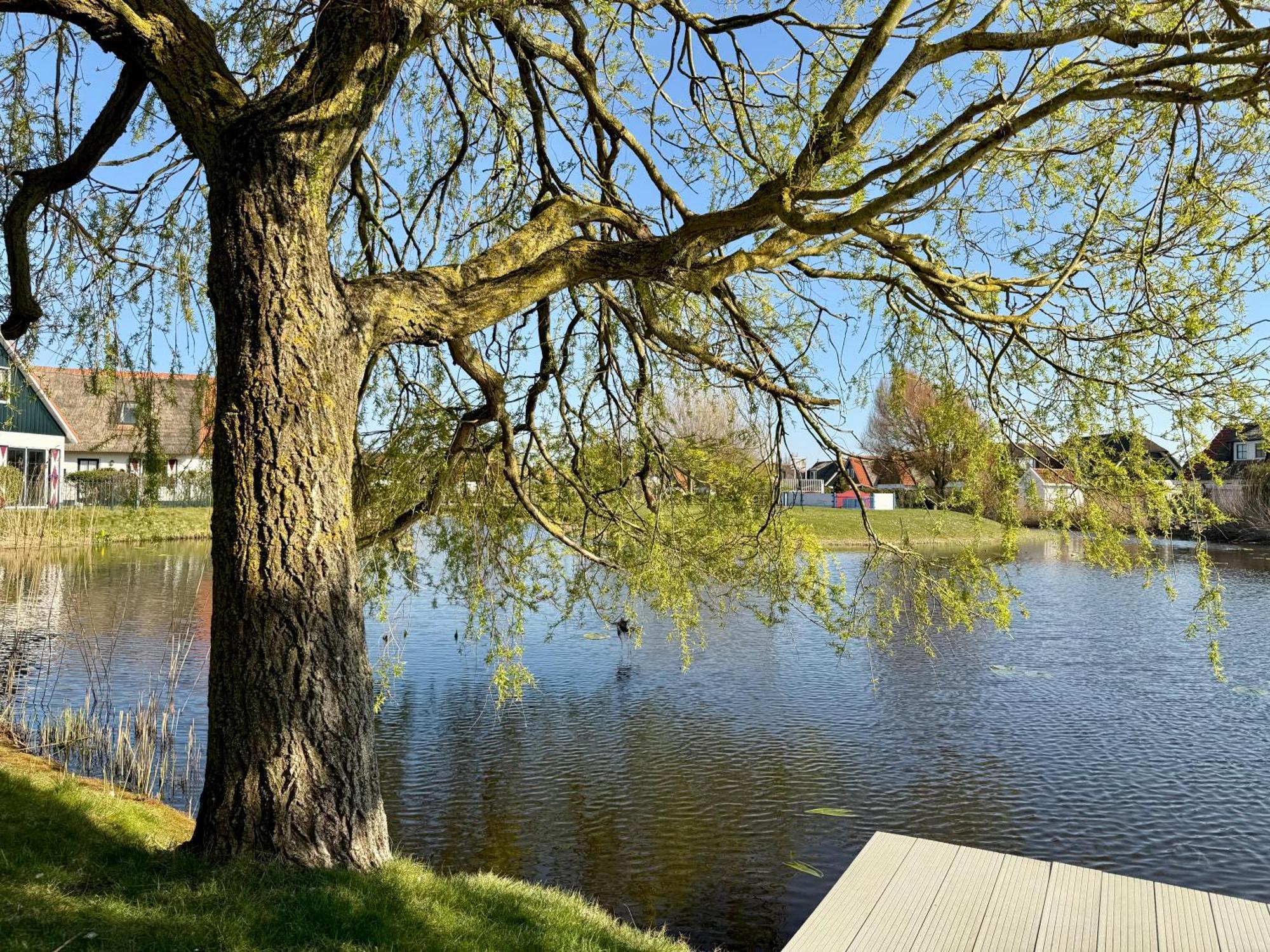 Villa Buitenplaats 47 Callantsoog Zewnętrze zdjęcie